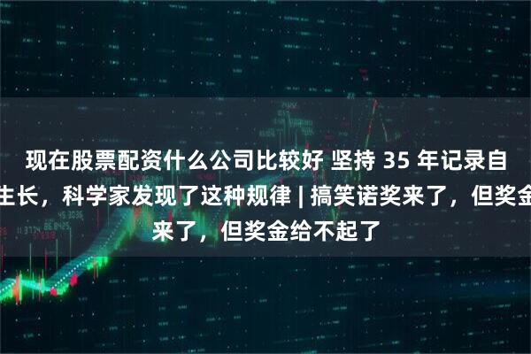 现在股票配资什么公司比较好 坚持 35 年记录自己的指甲生长，科学家发现了这种规律 | 搞笑诺奖来了，但奖金给不起了