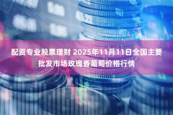 配资专业股票理财 2025年11月11日全国主要批发市场玫瑰香葡萄价格行情